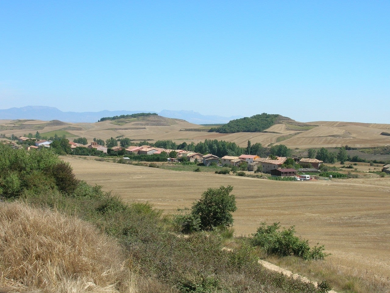 Bascuñana