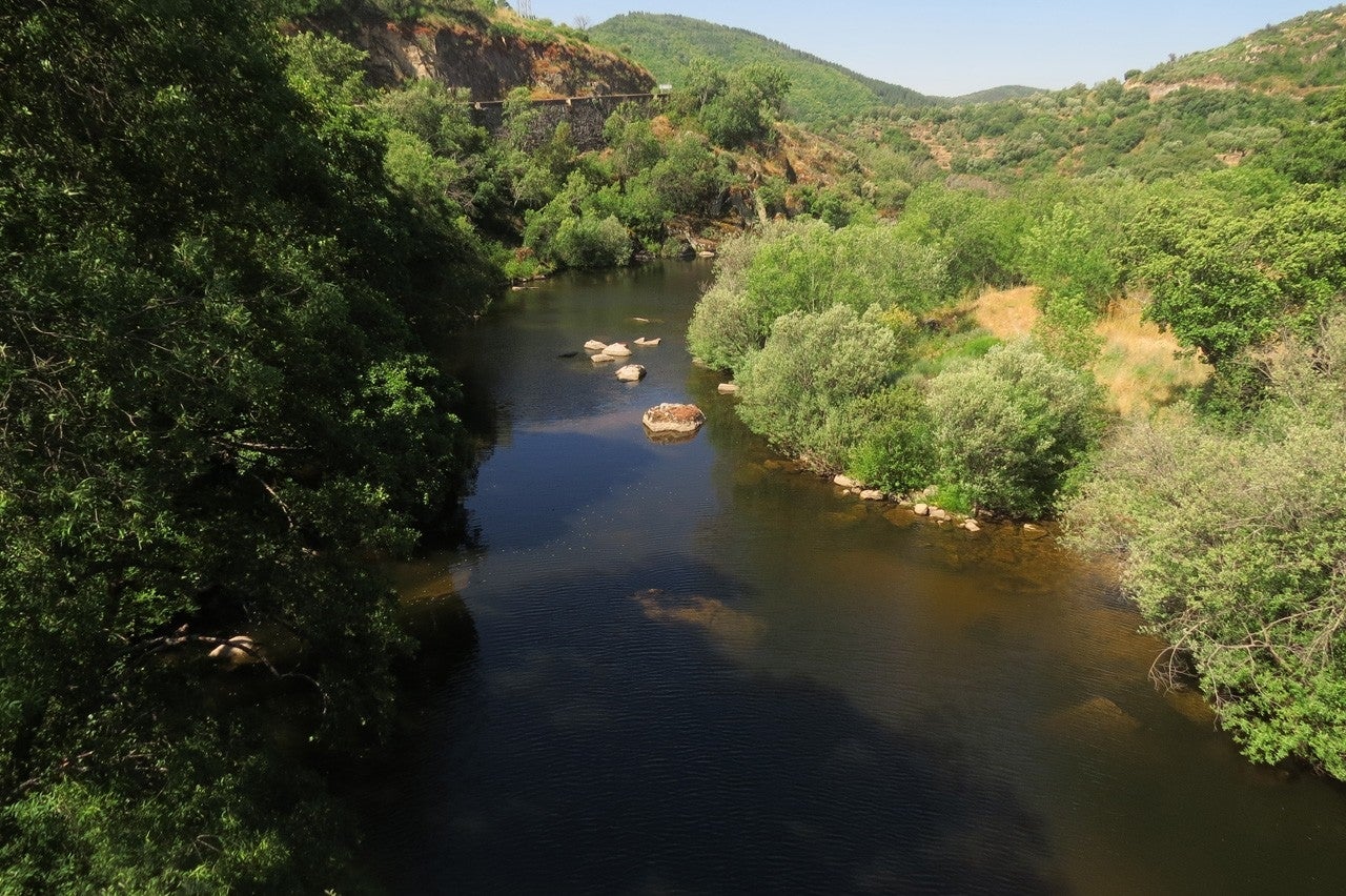 La Sierpe