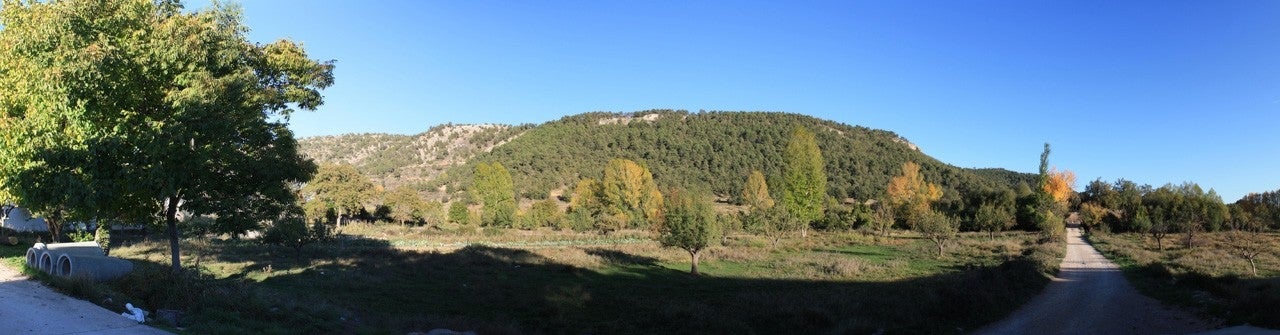Huerta del Marquesado
