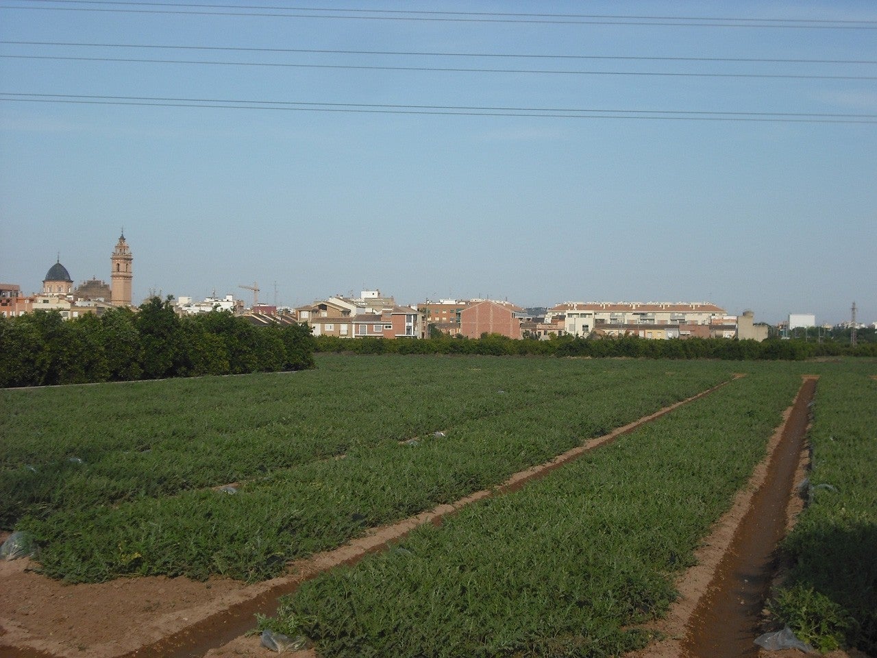 Foios
