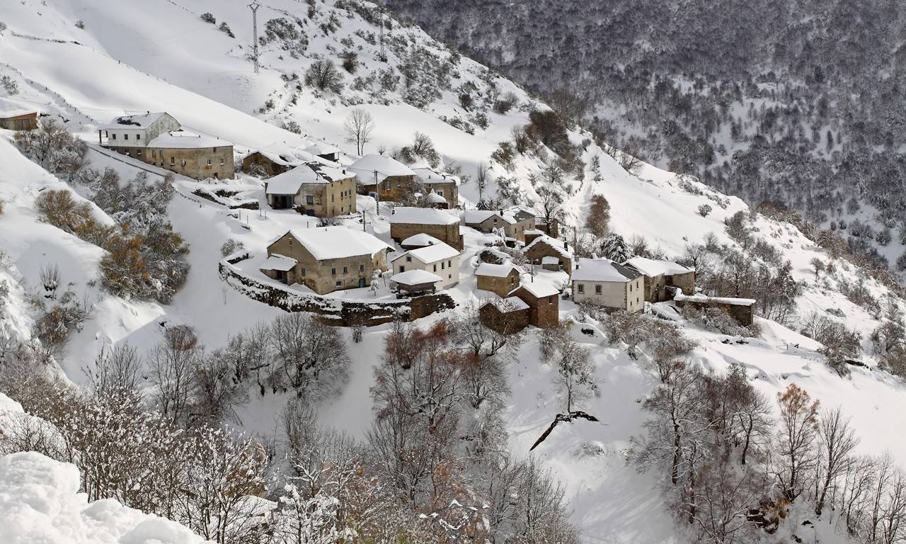 Cangas del Narcea