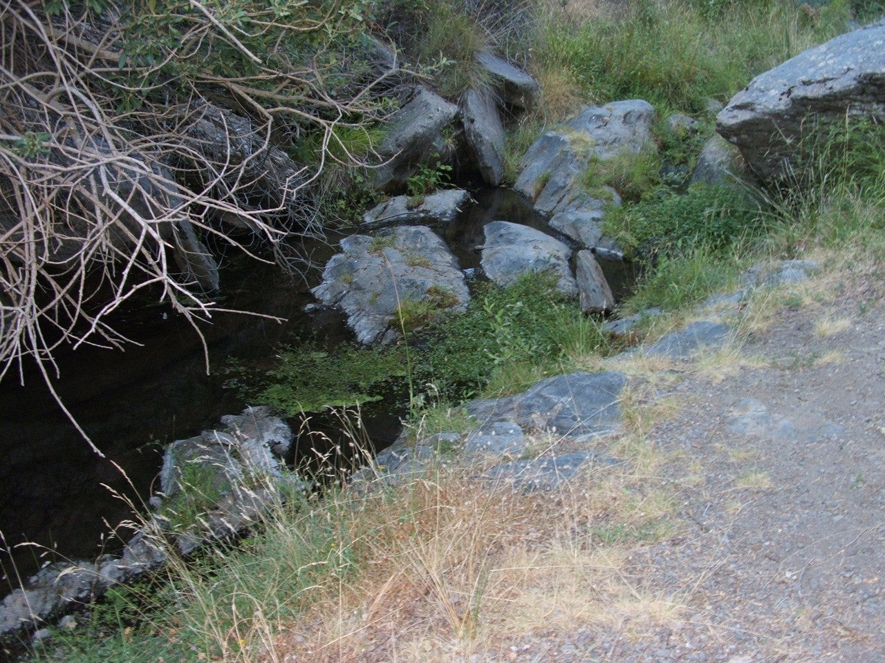 Alcóntar