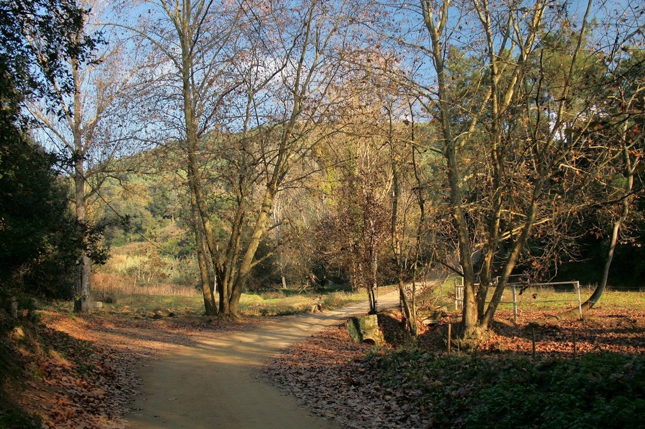 Vallromanes