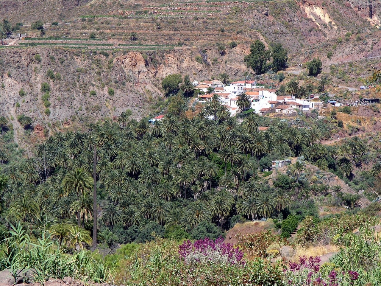Santa Lucía de Tirajana