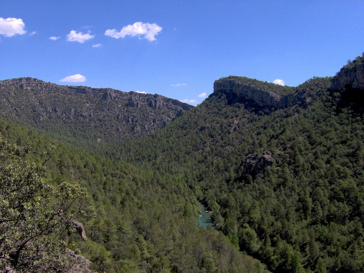 Ocentejo