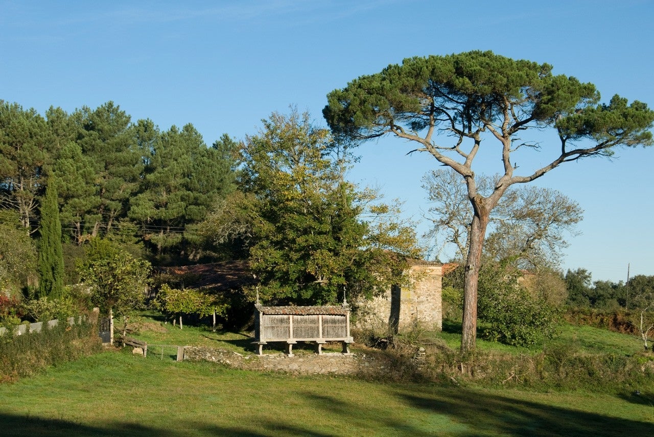 Agolada