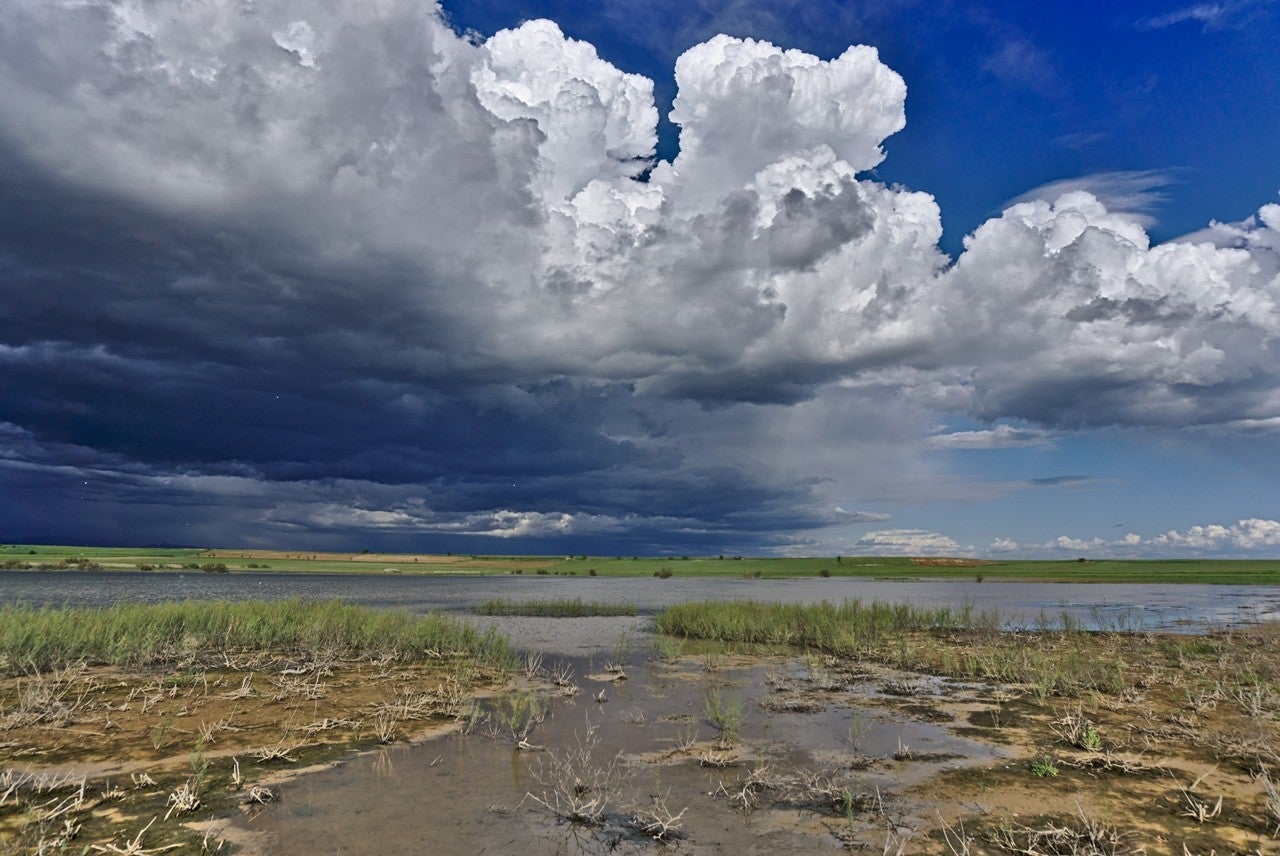Torrelameu