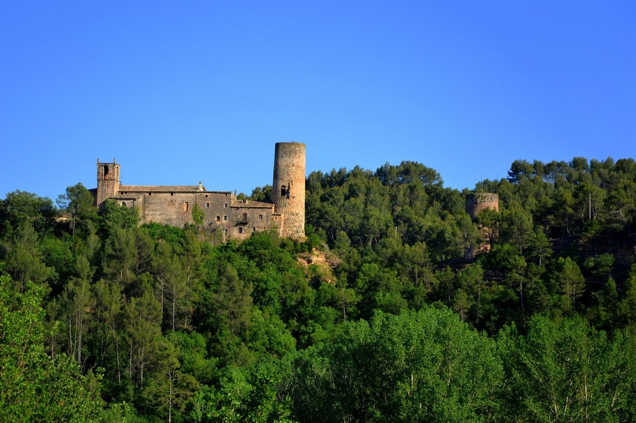 Fonollosa