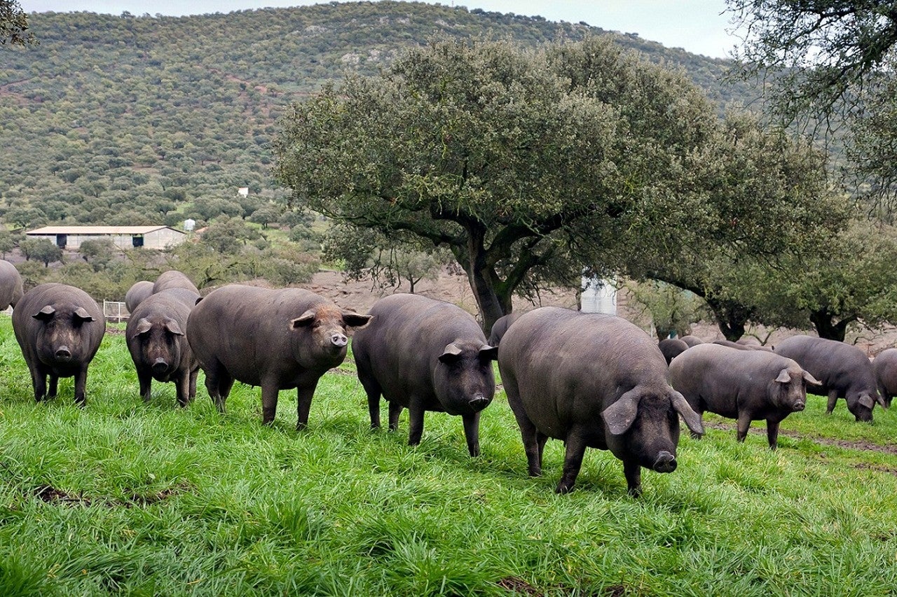 Aldeavieja de Tormes