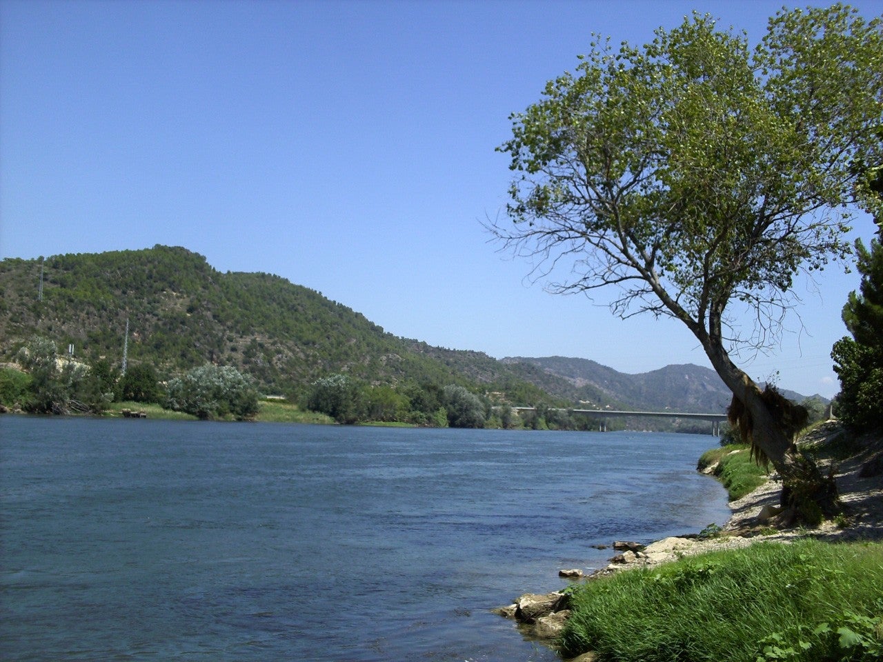 Benifallet