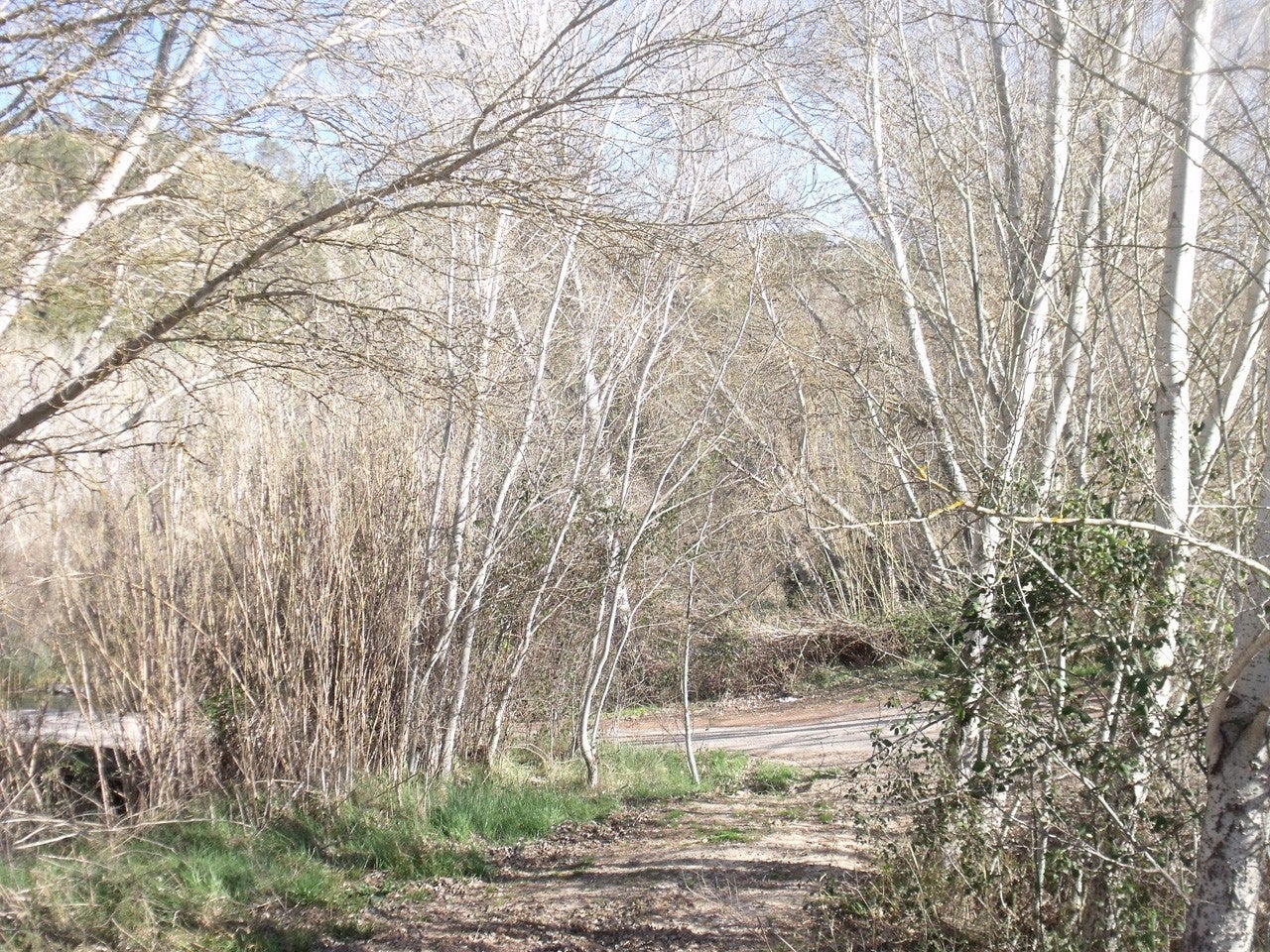 Yémeda