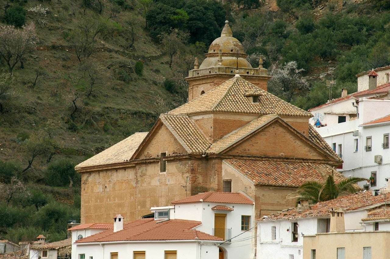 Laroya
