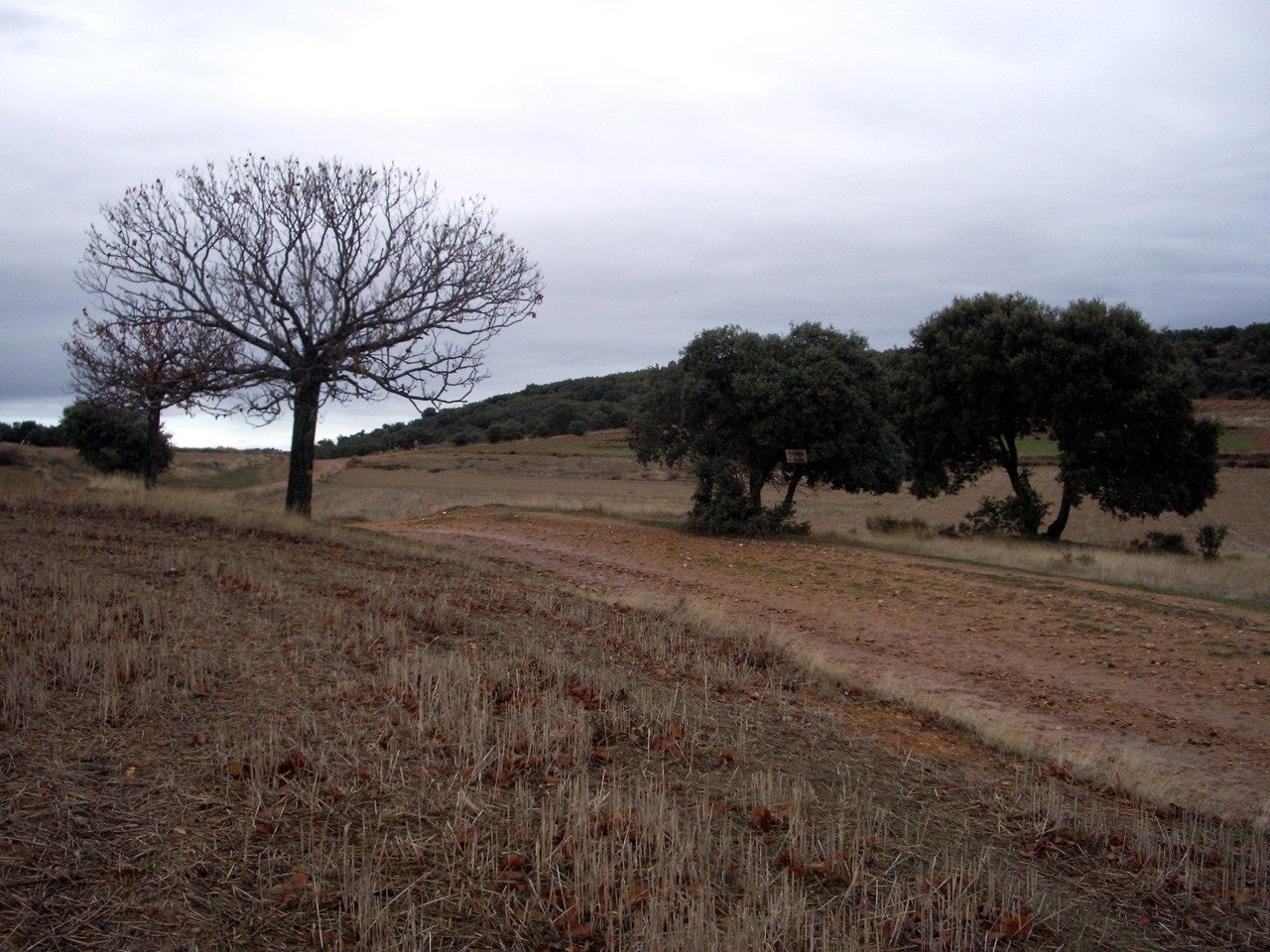 Villares de Órbigo