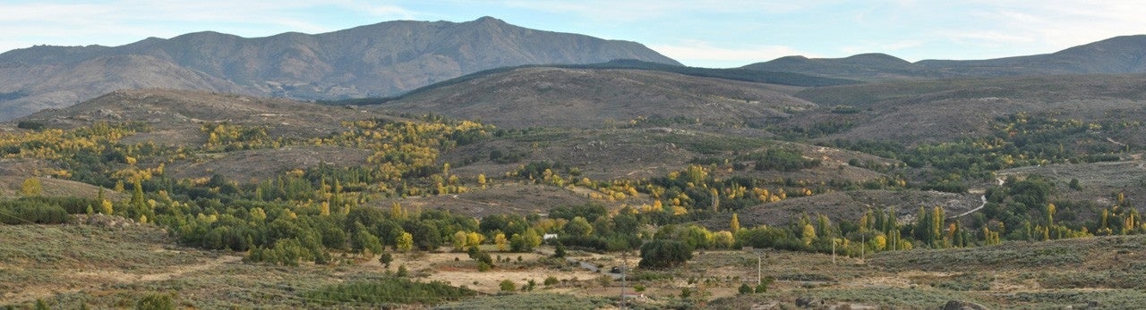 Navalosa
