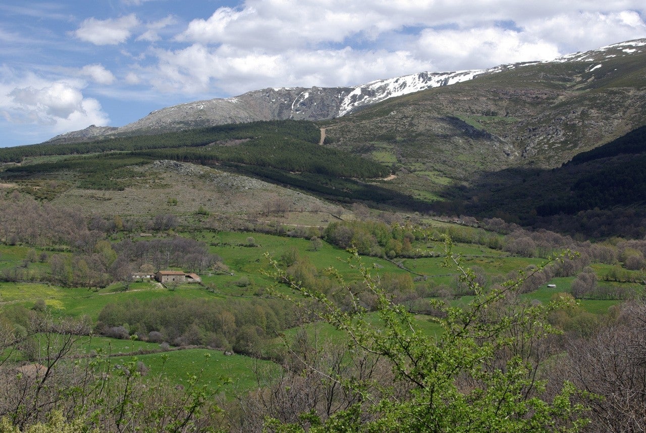 El Tornadizo