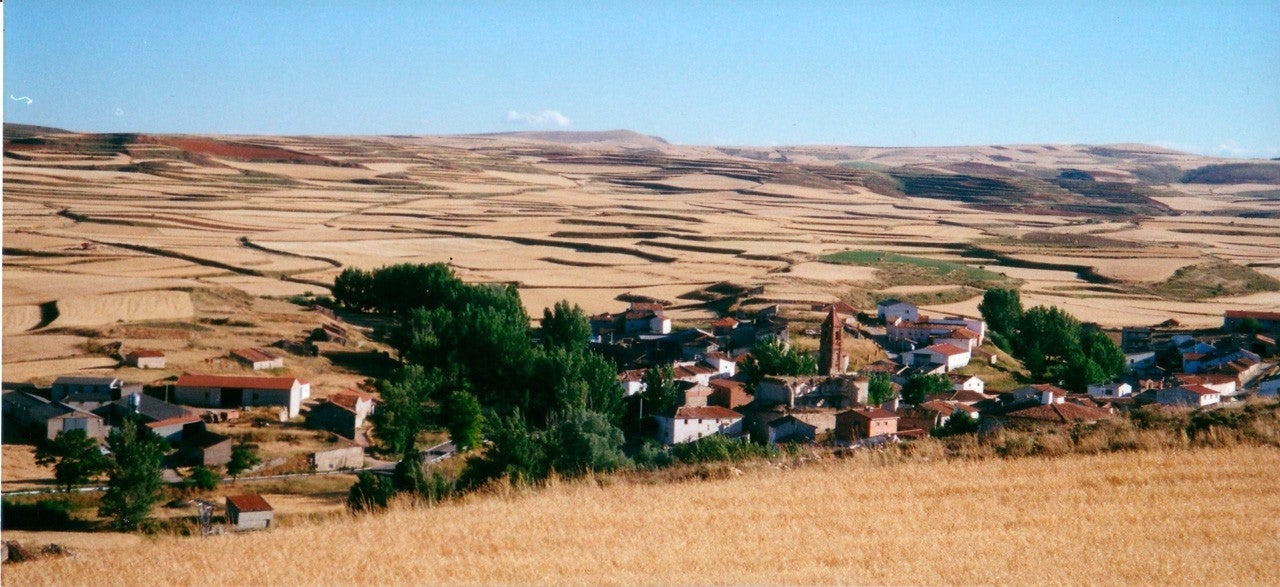 Cosa
