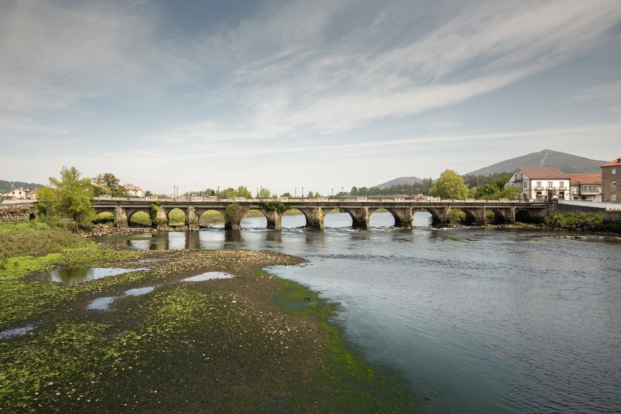 Pontecesures