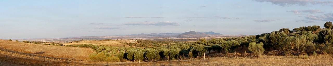 La Estrella