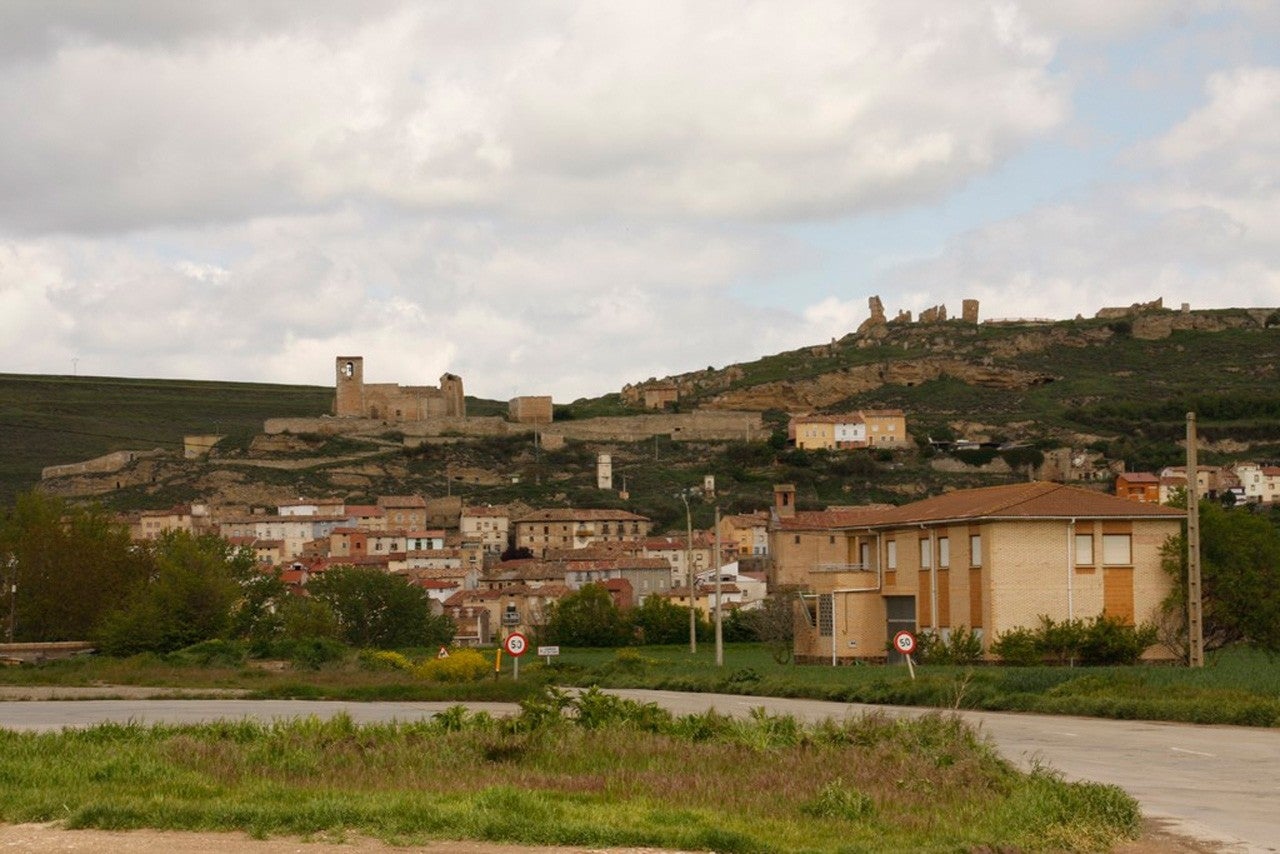 Cerezo de Río Tirón
