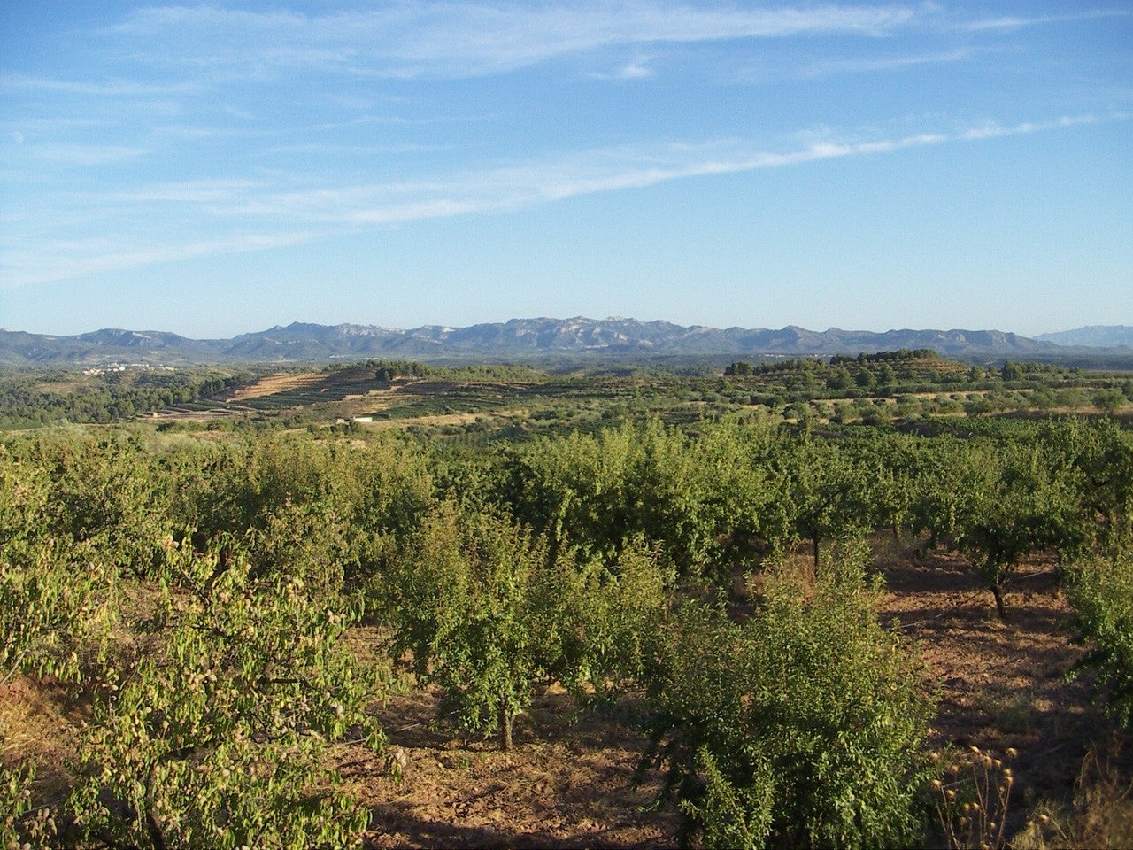 El Molar