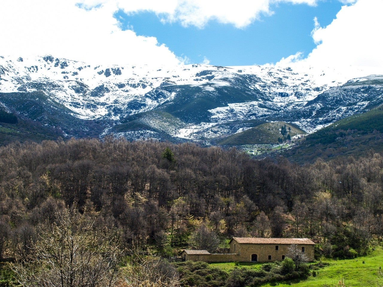 Navacarros