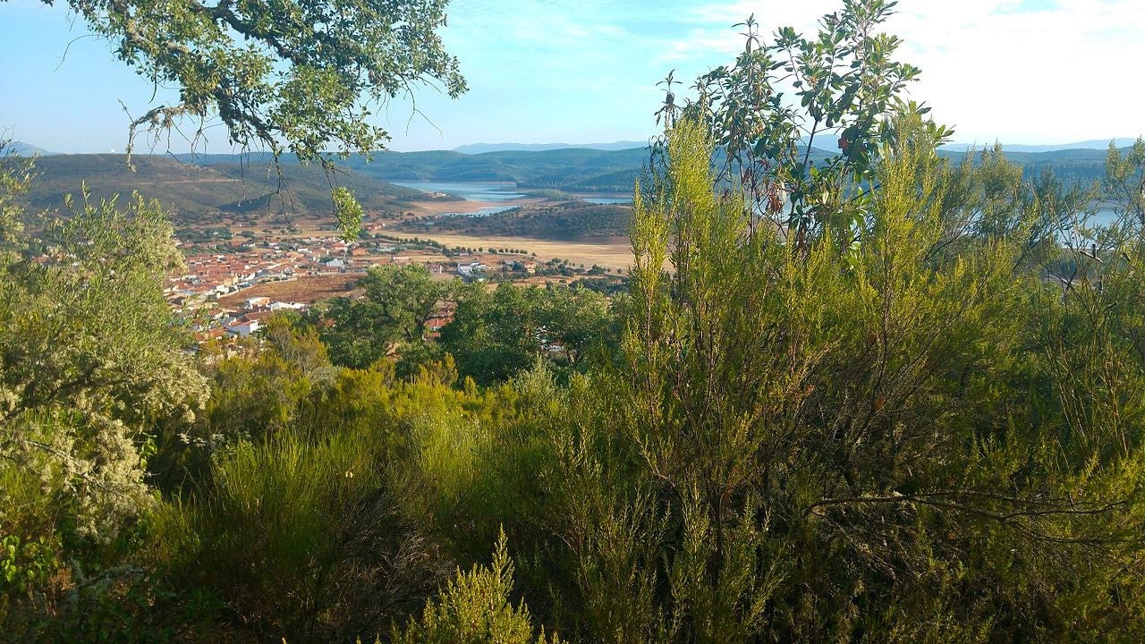 Helechosa de los Montes