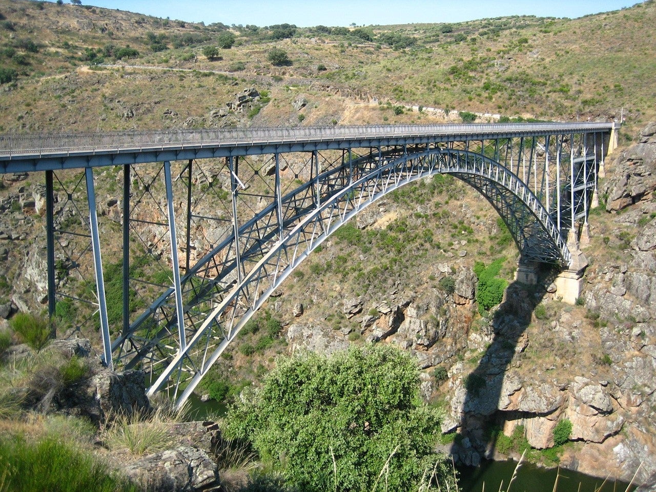 Pino del Oro
