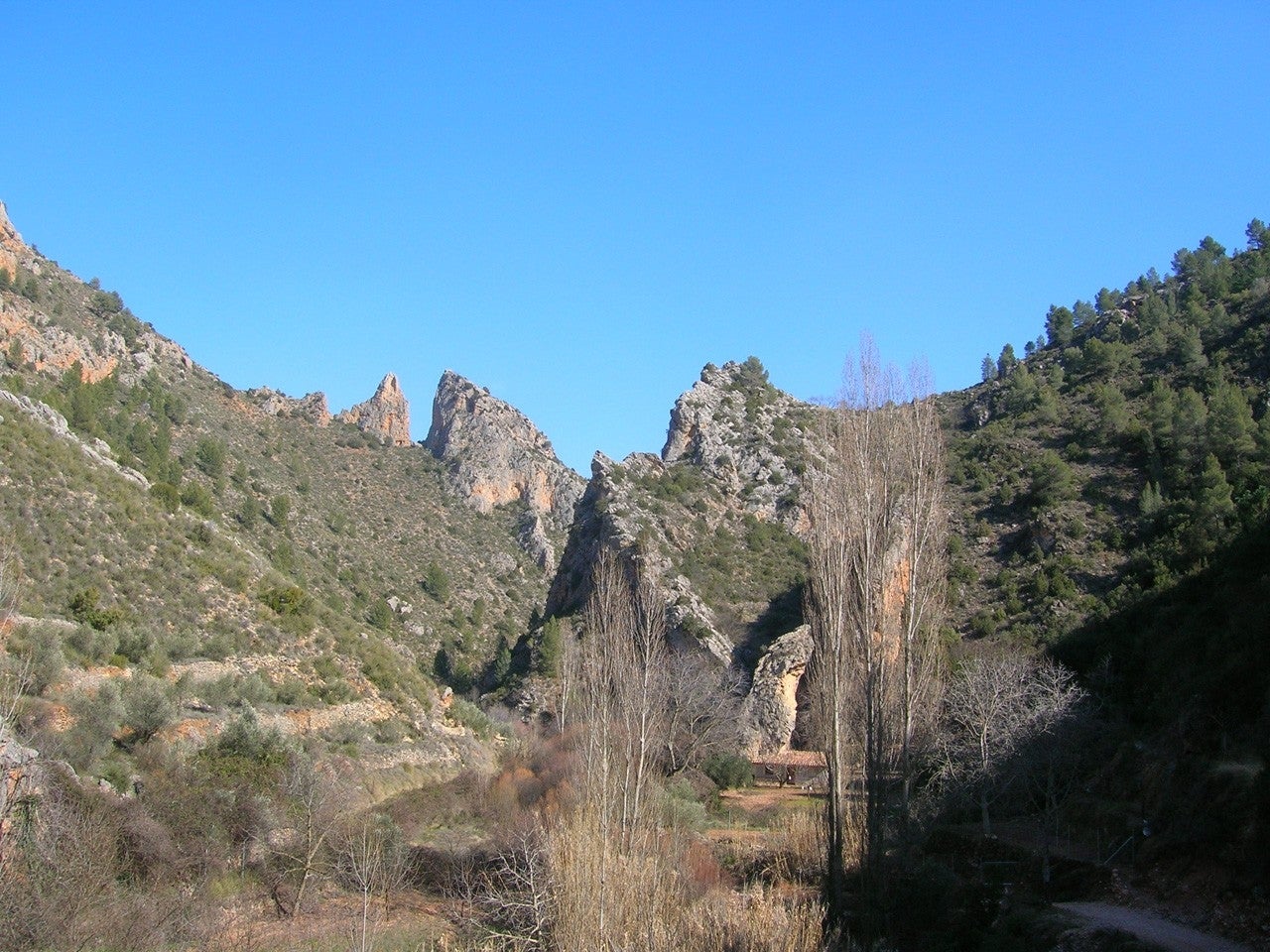 Bogarra