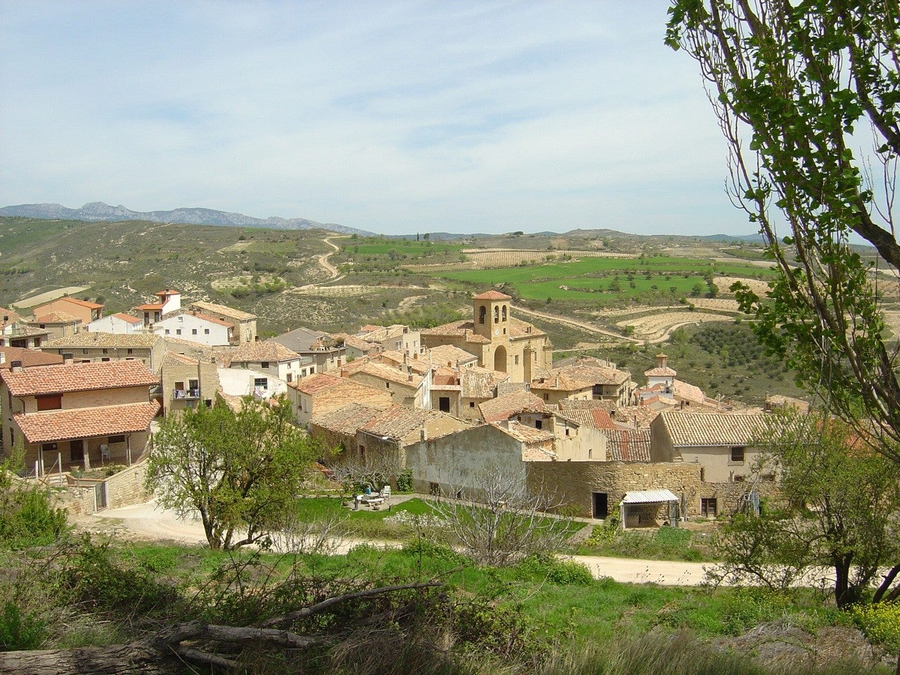 Bargota