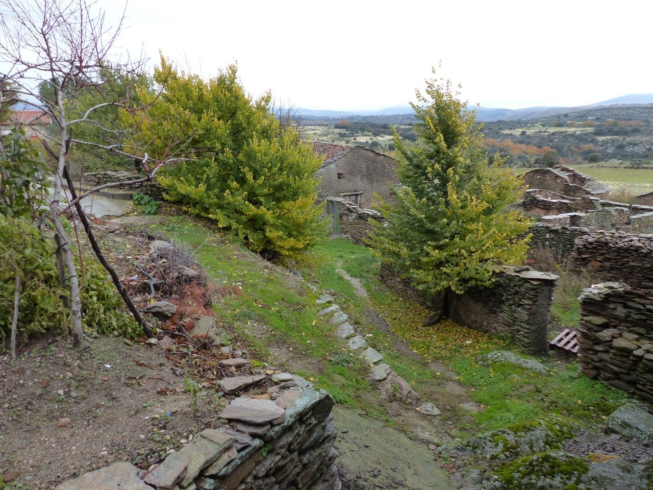 Zarzuela de Jadraque