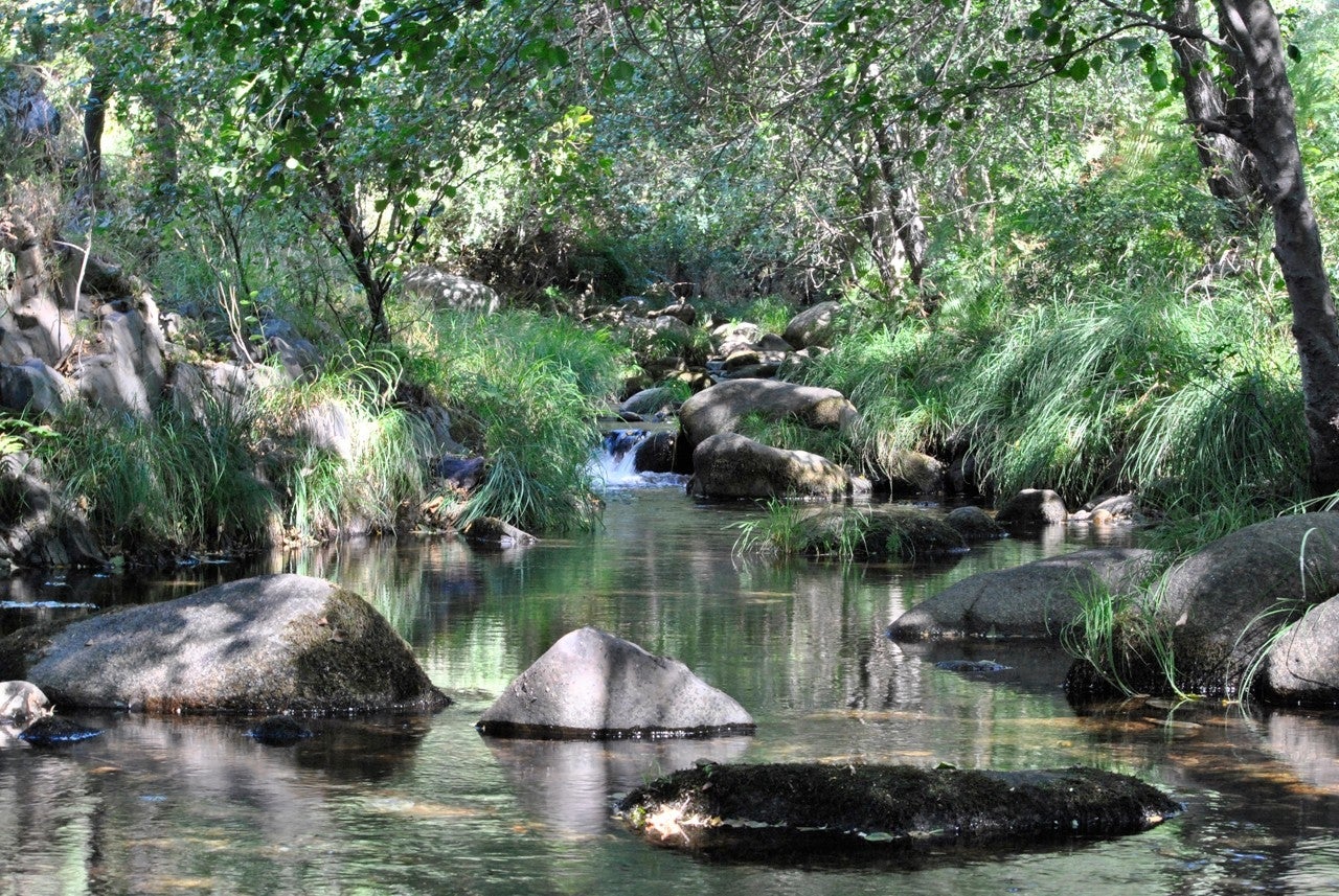 Peñaparda