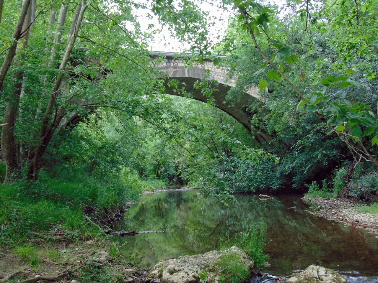 Serinyà