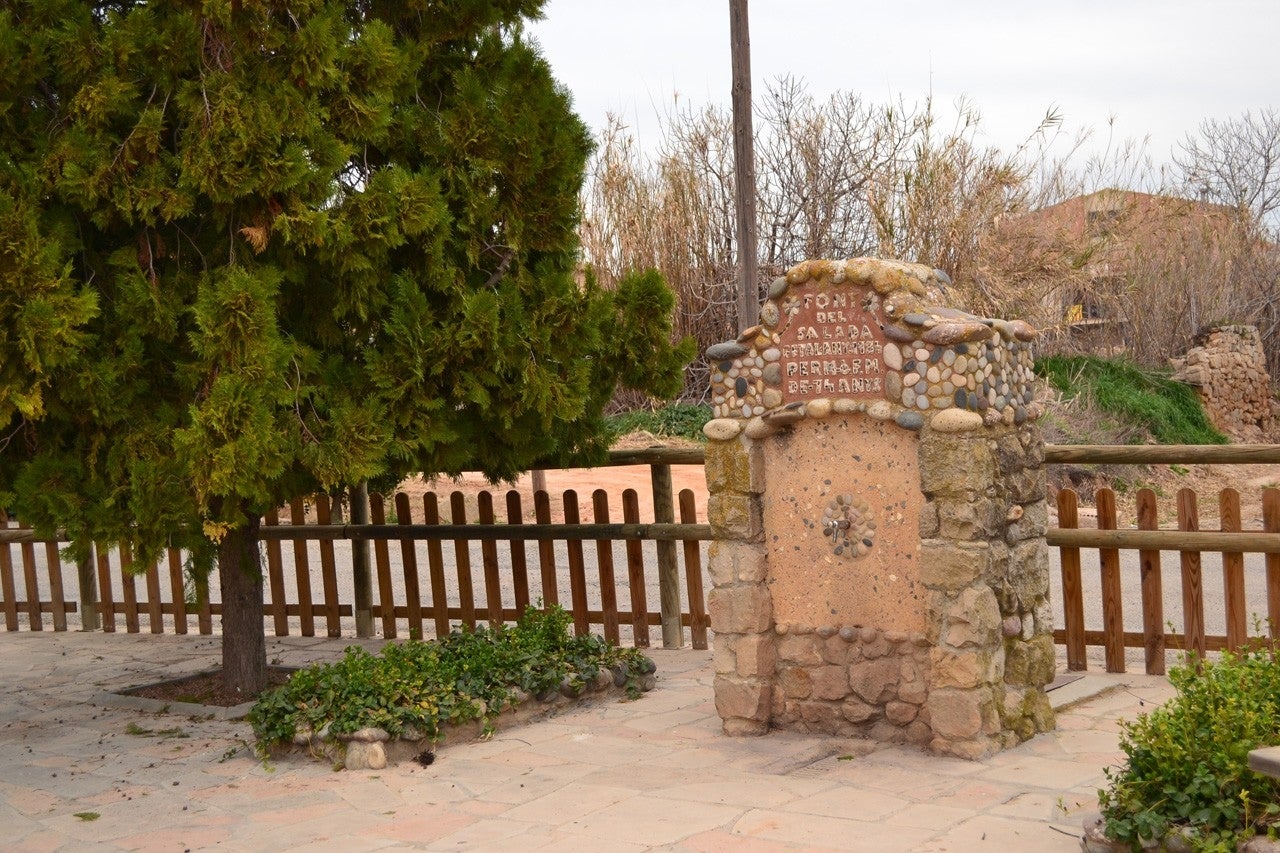 Alcanó