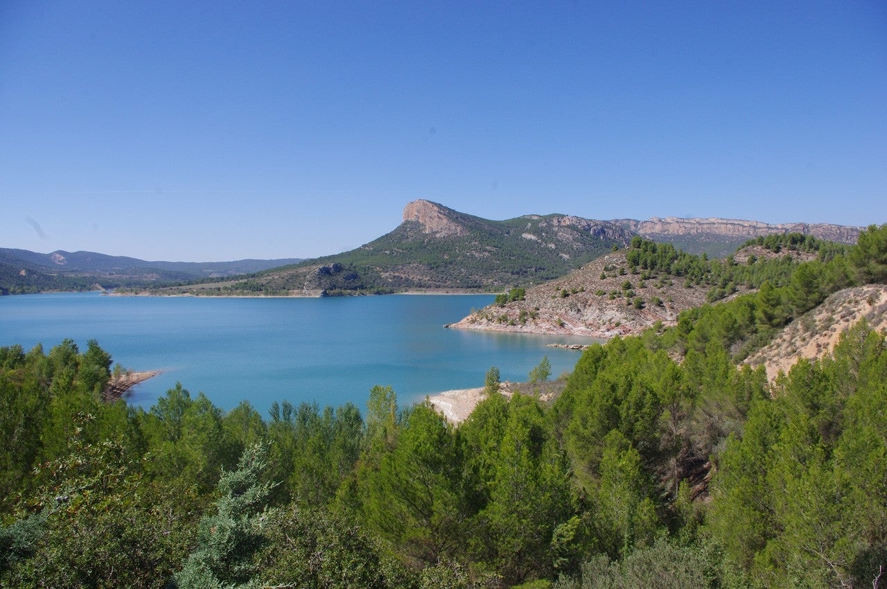 Castillonroy