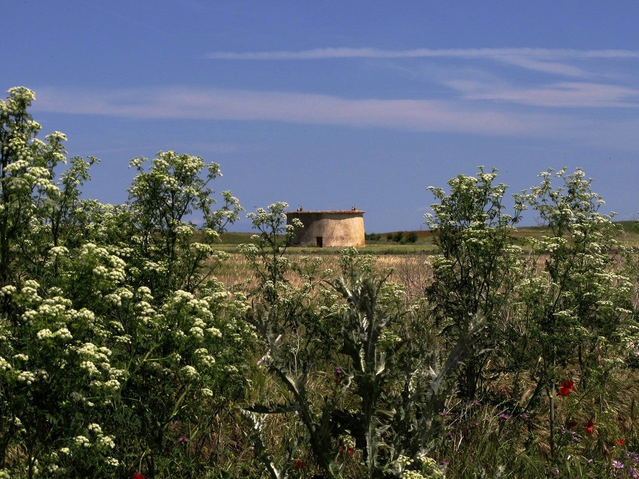 Vega de Villalobos