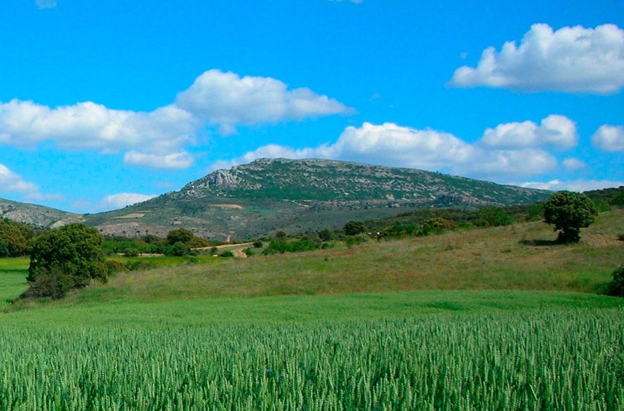 Anadón