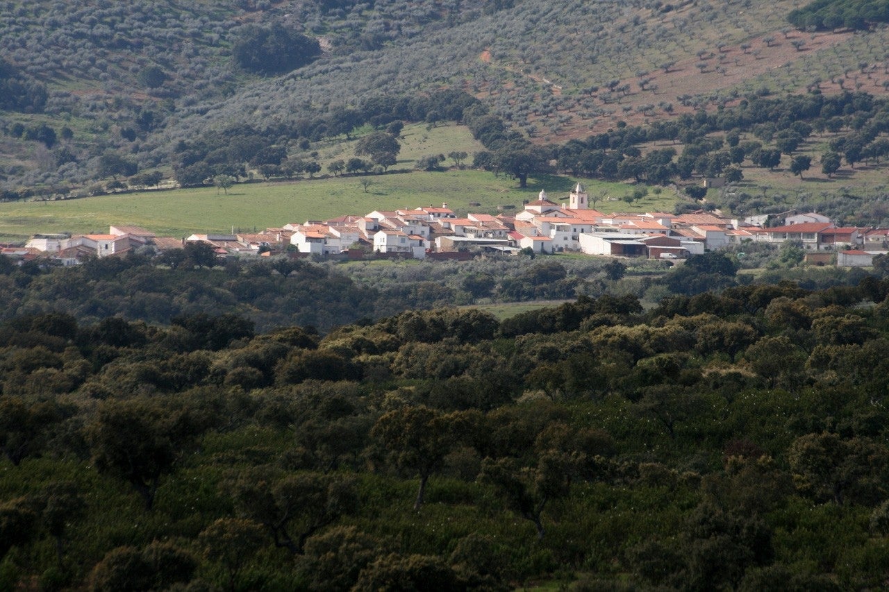 Carbajo
