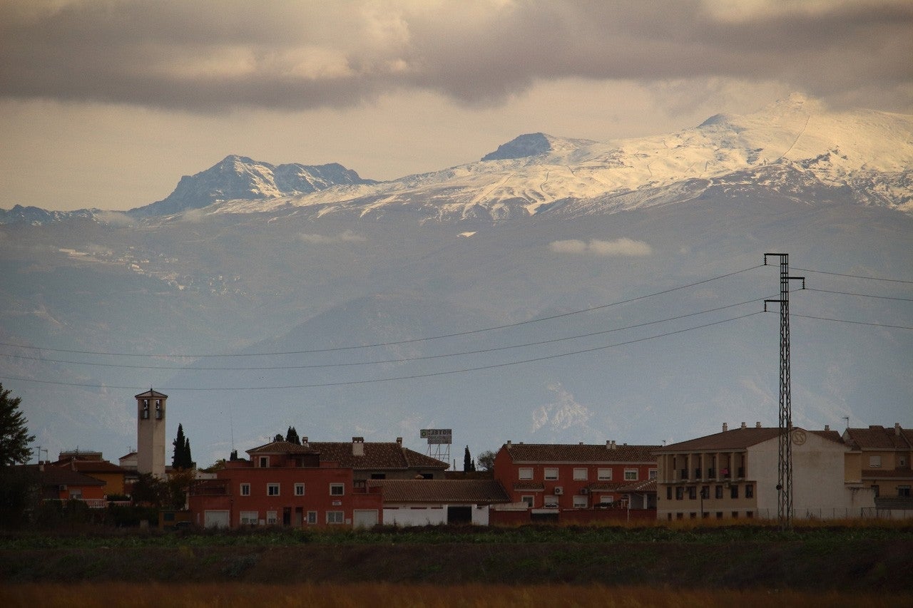 Cijuela