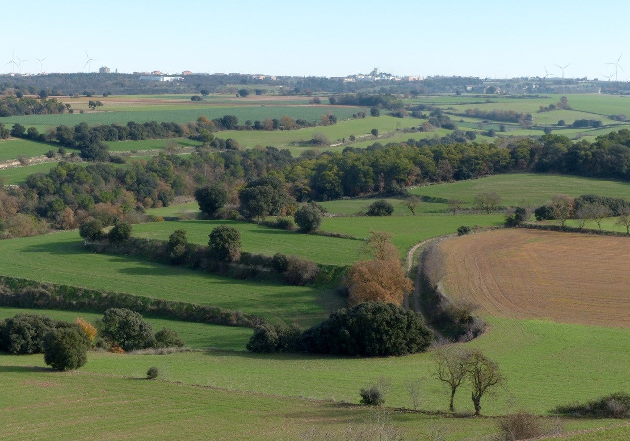 Sant Guim de Freixenet