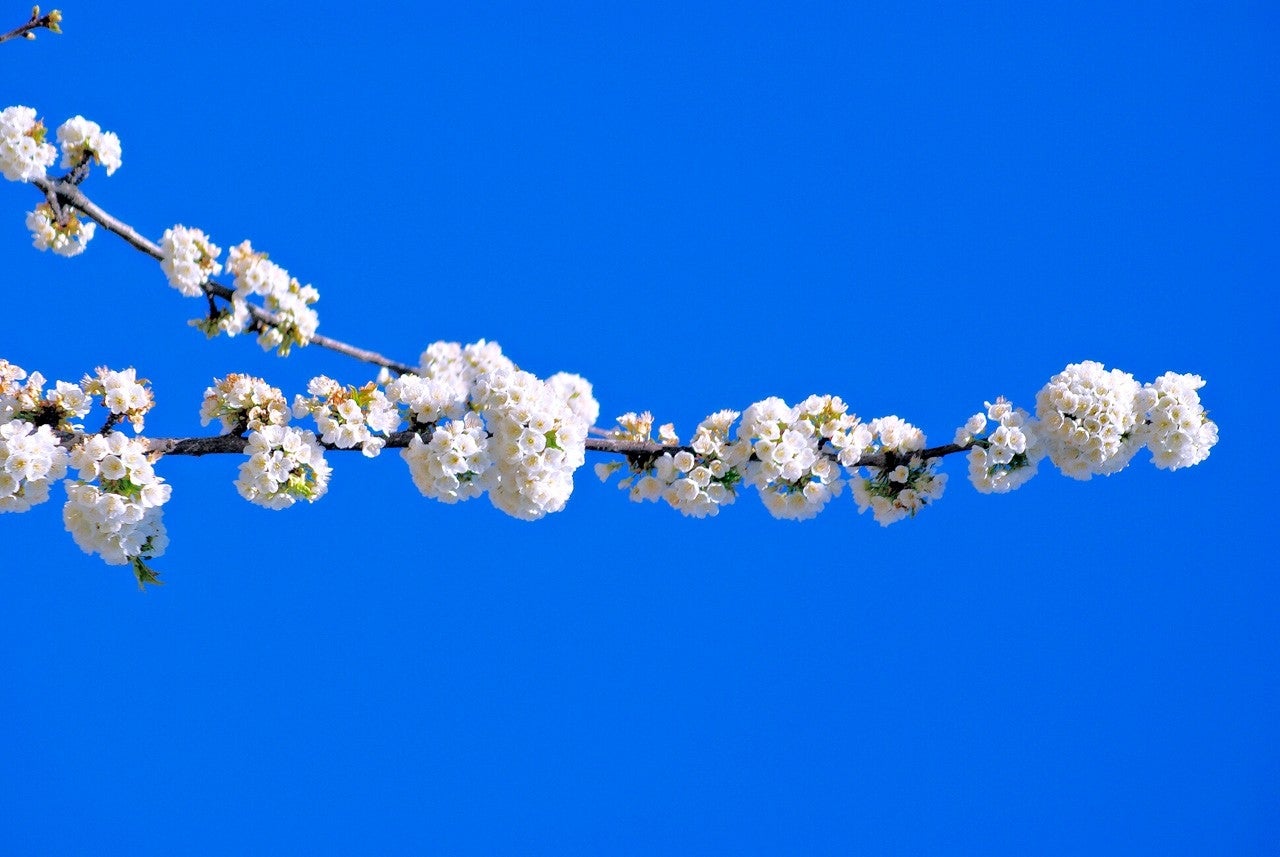 Valverde de Valdelacasa