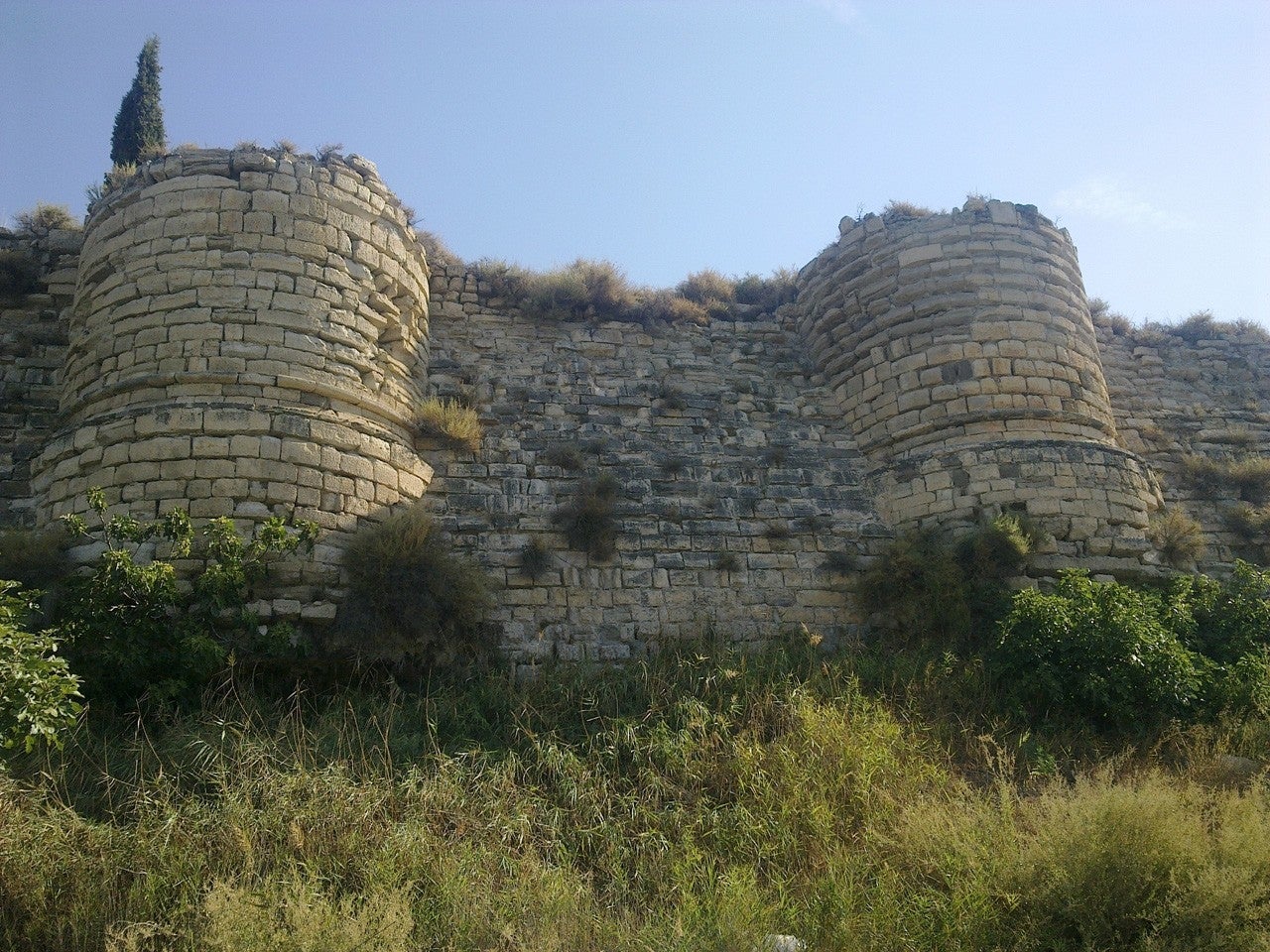 Zaidín