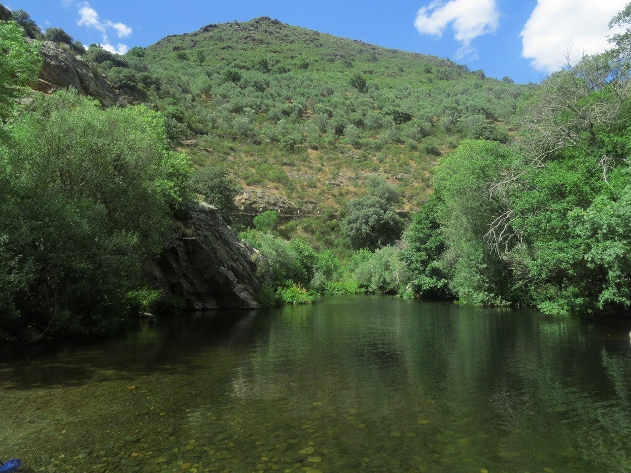 Alagón del Río