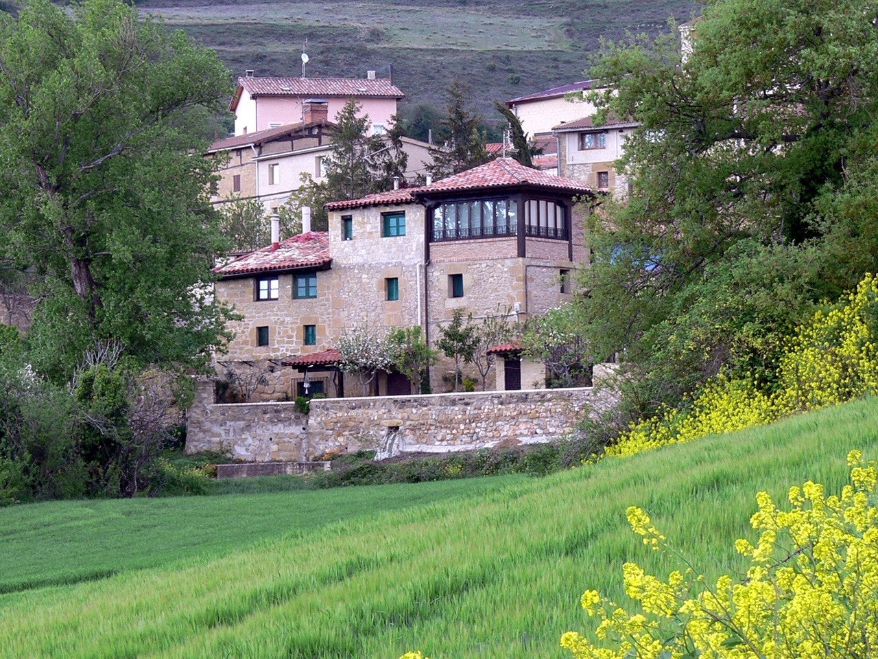 Galbárruli