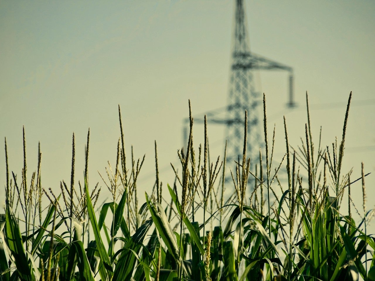 Villaveza de Valverde