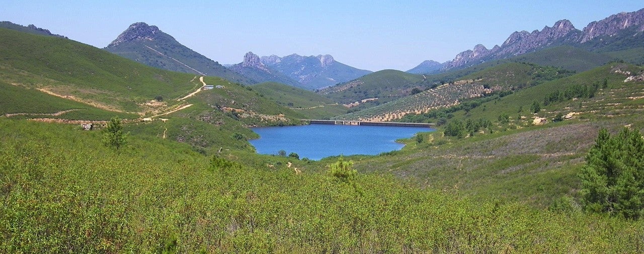 Navezuelas