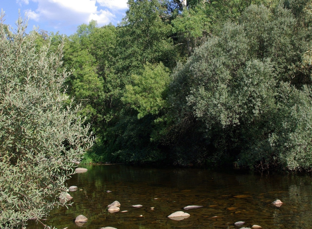 Monterrubio de la Sierra
