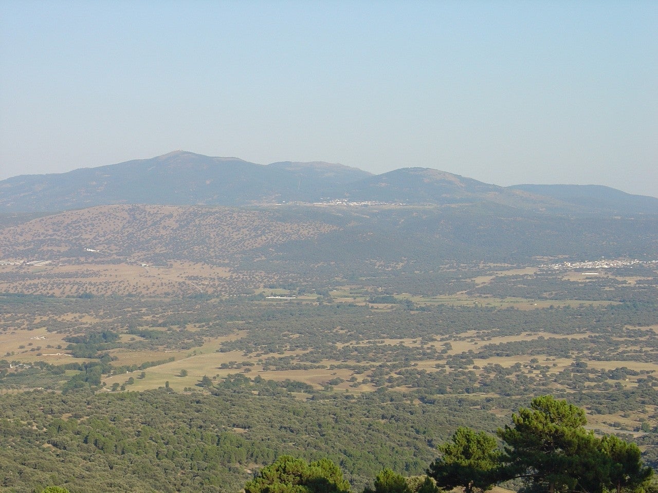 Marrupe