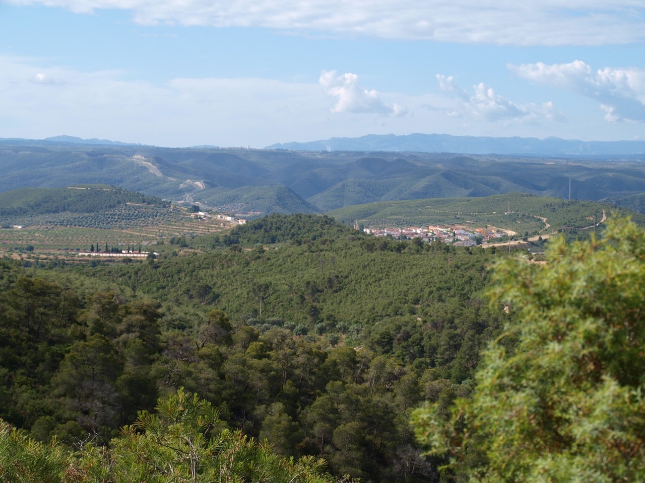 Fayón