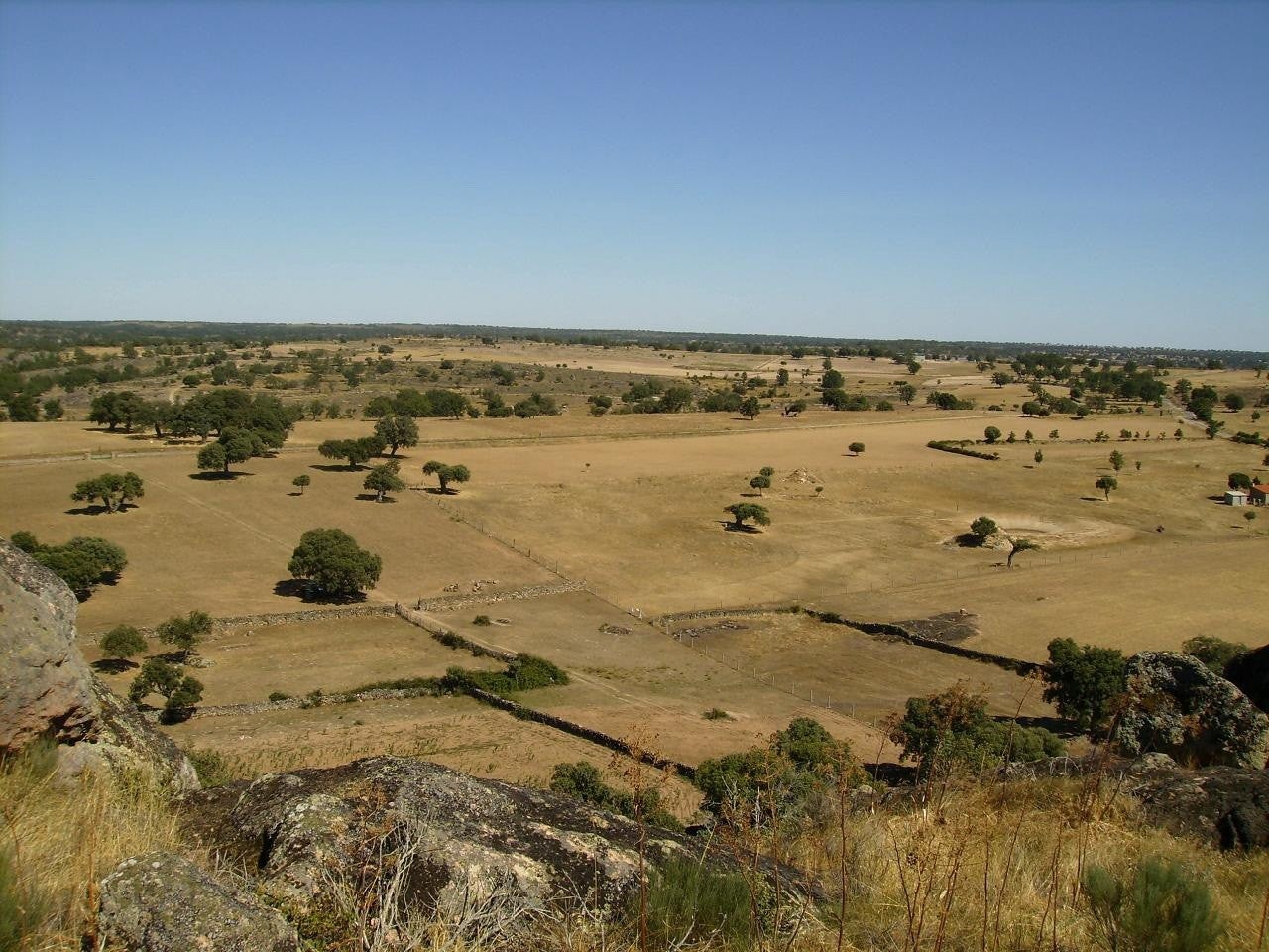 Moralina