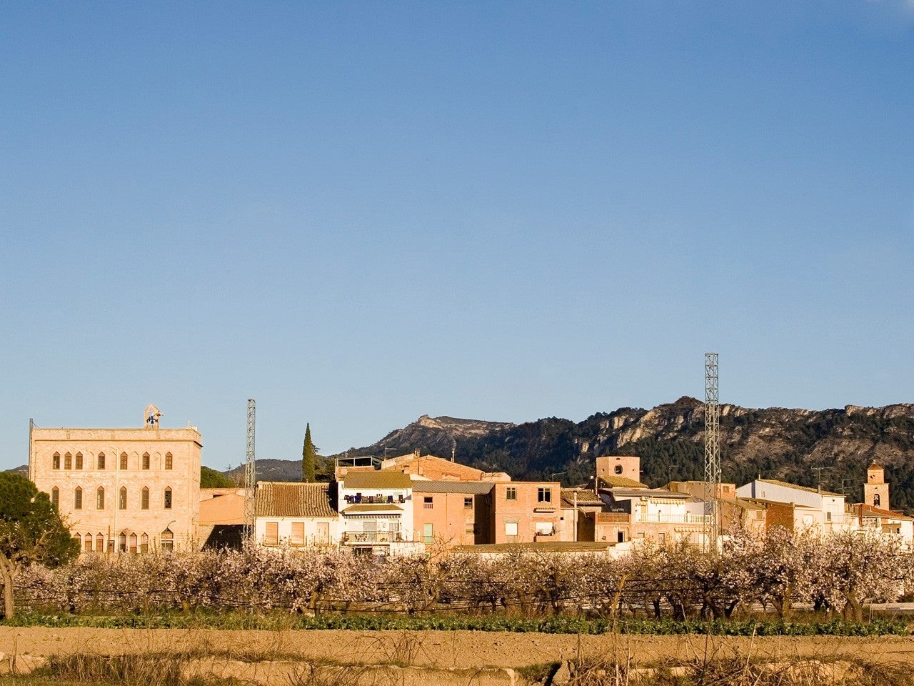Vinebre